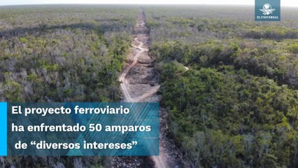 Obras en el tramo 5 no se han suspendido: García Vilchis