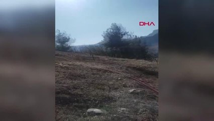 MERSİN'DE ORMAN YANGINI KONTROL ALTINA ALINDI