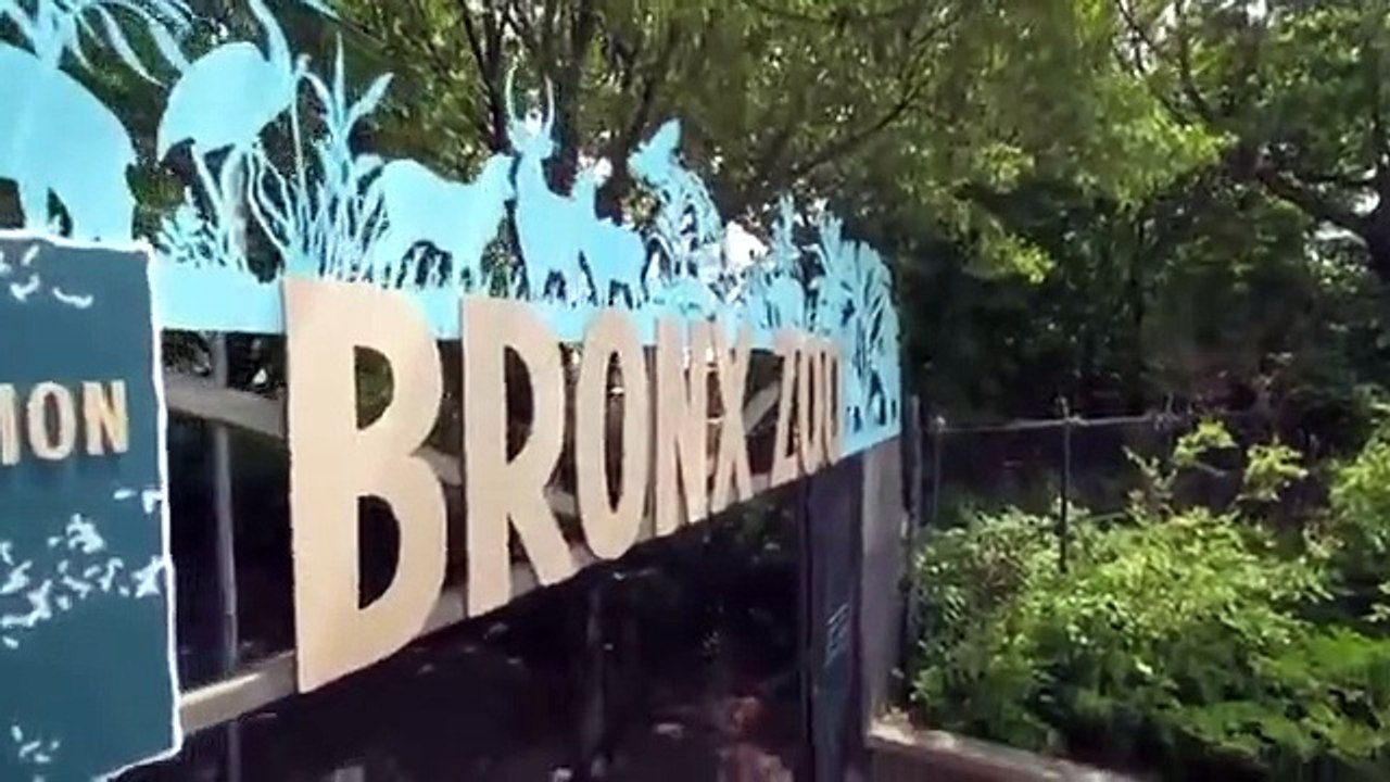 The Zoo - Se4 - Ep11 - A Rare Egg HD Watch