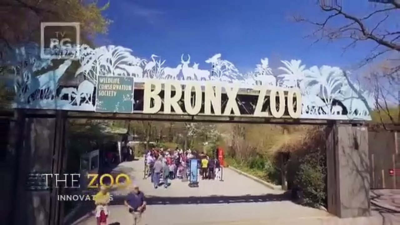 The zoo - se4 - ep15 - innovators hd watch