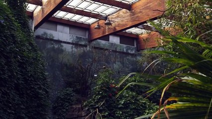 The Zoo - Se3 - Ep03 - Andre the Baby Goat HD Watch