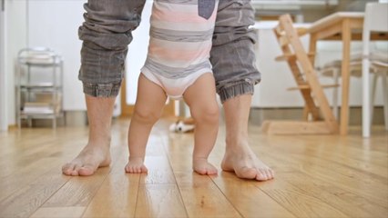 The Ultimate Guide to Wood Flooring Types