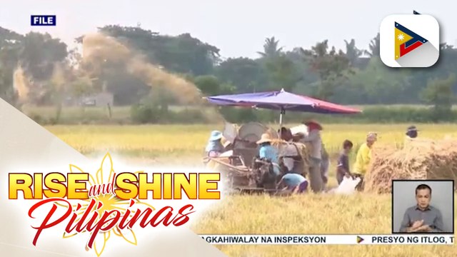 Paggamit ng hybrid seeds upang mapataas ang produksiyon ng palay, isinusulong; pagbibigay ng subsidiya at loan sa mga magsasaka, tiniyak