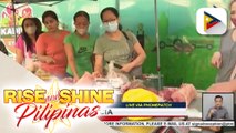 Kadiwa stores, patuloy ang paghahatid ng abot-kaya at mga sariwang produkto; Kadiwa outlet sa Philippine Heart Center, bukas din ngayong araw