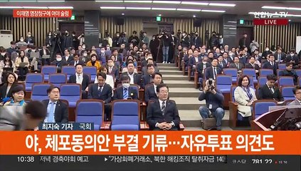 "체포동의안 양심 표결"…"오로지 정적 제거용"