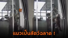 เมื่อลืมกุญแจกันทั้งบ้าน ใครจะคาดคิดฮีโร่ที่ช่วยเปิดบ้านคือ ไอ้ต้าว !