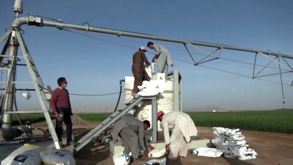 UAE farms the desert in quest for food security