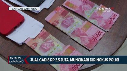 Jual Gadis Rp 2,5 Juta! Muncikari Diringkus Polisi
