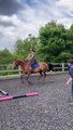 Horse Decides He Doesn't Want to Do That Jump