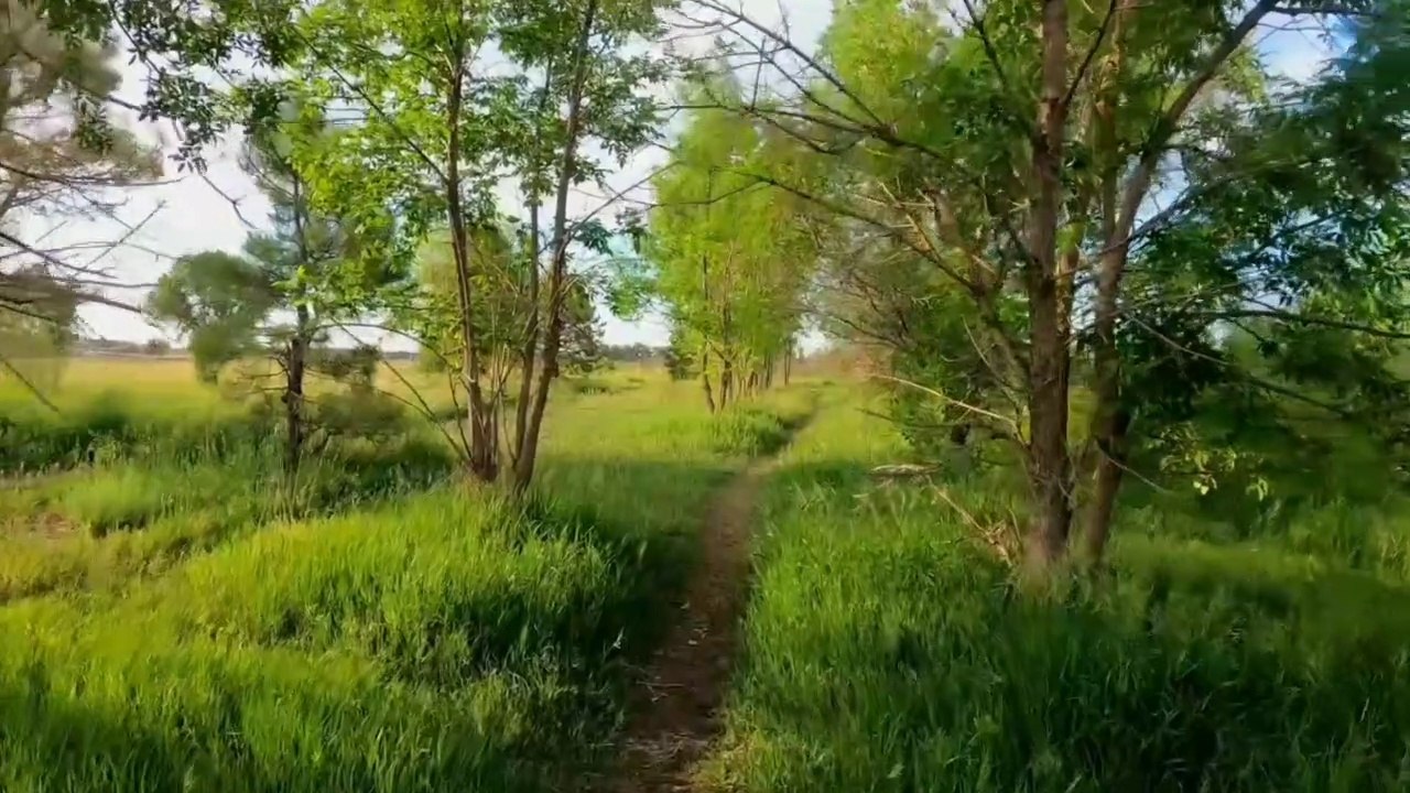 Jangan takut akan kegagalan sebelum kamu mencobanya - Kata-Kata Motivasi