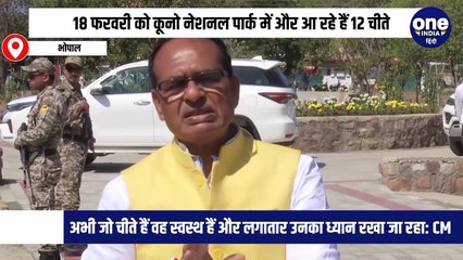 18 फरवरी को कूनो नेशनल पार्क में और आ रहे हैं 12 चीते: CM शिवराज