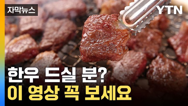 [자막뉴스] '파격 세일' 반값 한우...언제 어디서 판다고? / YTN