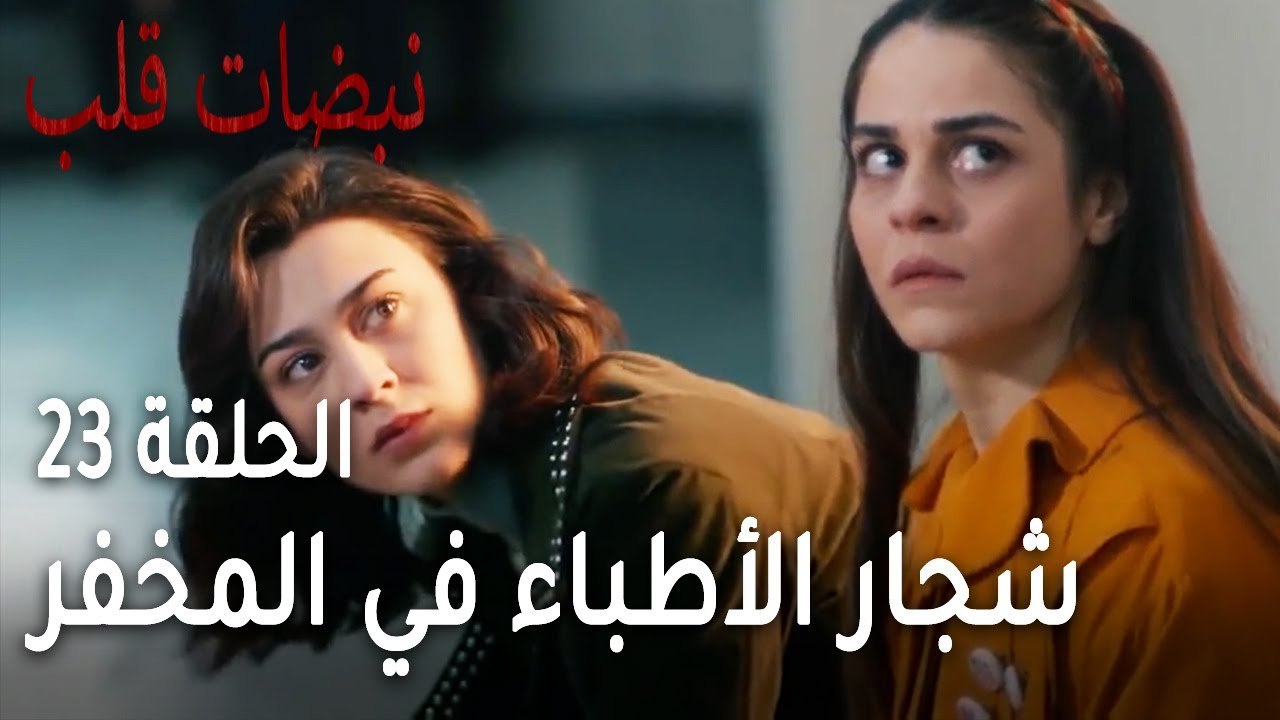 مسلسل نبضات قلب الحلقة 23 - شجار الأطباء في المخفر