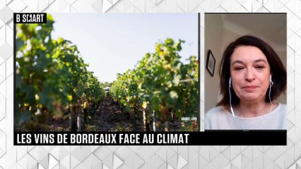 SMART IMPACT - Emission du jeudi 16 février