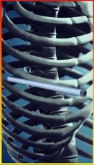 Facts About Bones You Wouldn_t Believe_zemtv