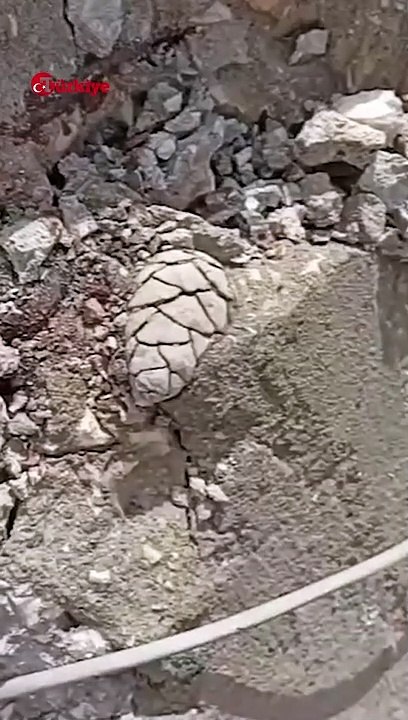 Yıkılan Binanın Kolonundan Çıkan 'Yok Artık' Dedirtti  #deprem #kahramanmaraş  #shorts