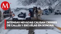 Suspenden clases en 20 municipios de Sonora por intensas nevadas