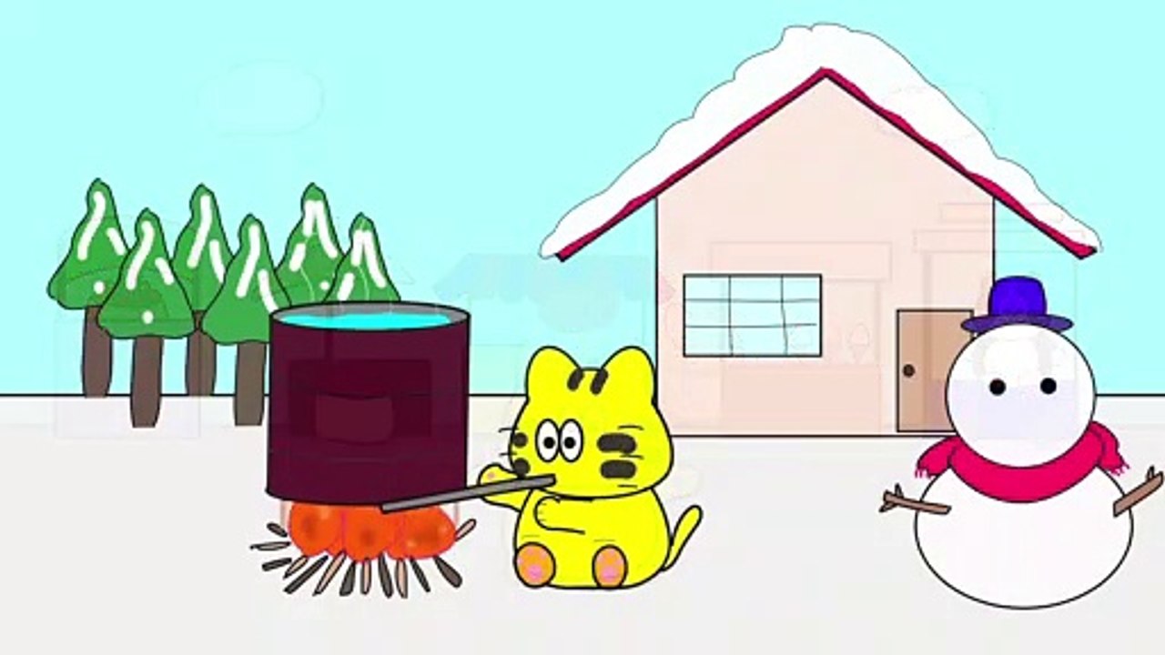 にゃんこの一週間