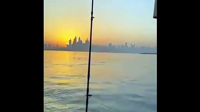Pod of dolphins spotted playing along boat during fishing trip off Dubai shores