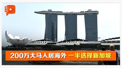 马来西亚人才大量外流：就业与教育受种族因素影响 🇲🇾