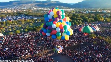 Weird Things You Will Regret Not Seeing...