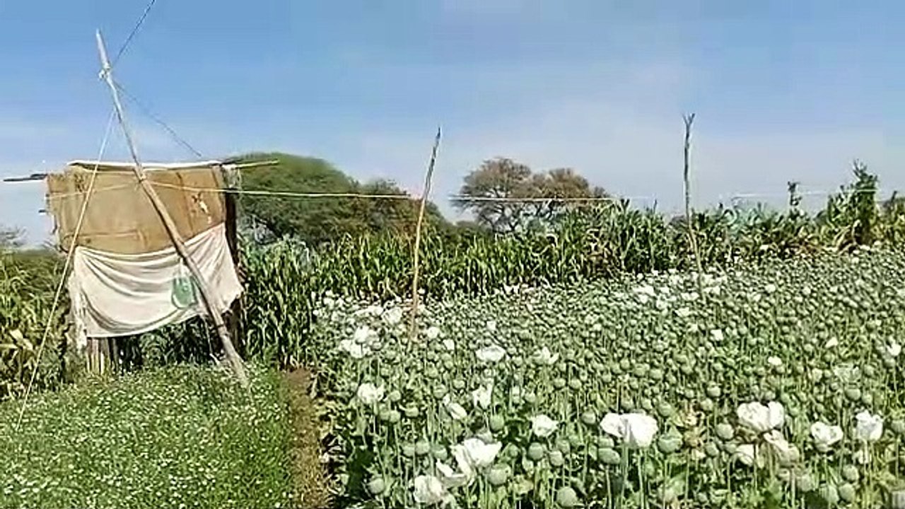 mandsaur vedio