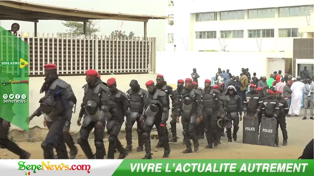 Procès Sonko - Mame Mbaye Niang sa Ch@uffe déjà Sonko au Tribunal de Dakar