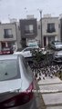 Vídeo: centenas de pássaros invadem rua do México e intrigam moradores