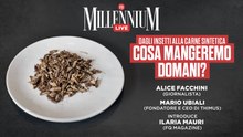 Dagli insetti alla carne sintetica, cosa mangeremo domani? La diretta di Millennium Live con Alice Facchini e Mario Ubiali