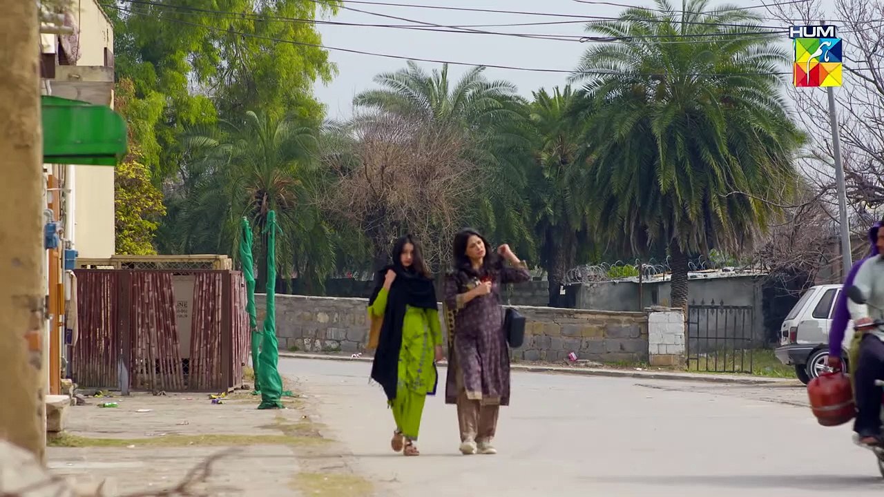 Meesni Episode 30 - [   02 ] #bilalqureshi #mamia  (2)