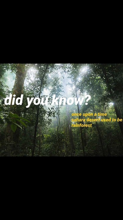 Did you know? Top 5 facts about animals