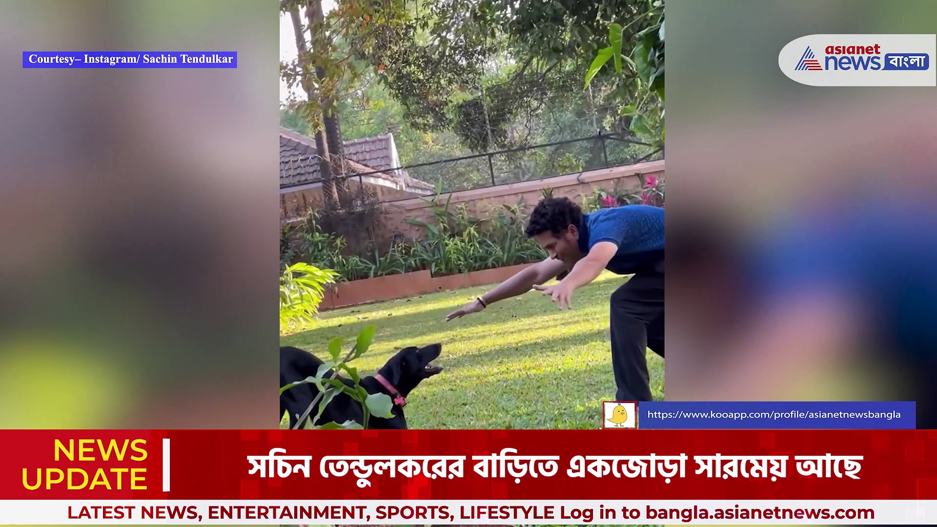 বাড়িতে সারমেয়দের সঙ্গে খেলায় মেতেছেন মাস্টার ব্লাস্টার সচিন তেন্ডুলকর