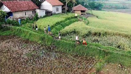 Steven _ Coconuttreez Ft. Richard D Gilis - Kembali - (Official Lyric Video)