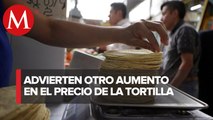 Precio de tortilla puede subir hasta 40% por nuevo decreto sobre maíz transgénico