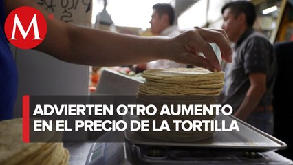 Precio de tortilla puede subir hasta 40% por nuevo decreto sobre maíz transgénico