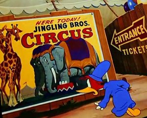 Woody Woodpecker Woody Woodpecker E046 – What’s Sweepin’