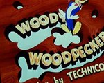 Woody Woodpecker Woody Woodpecker E047 – Buccaneer Woodpecker
