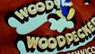 Woody Woodpecker Woody Woodpecker E047 – Buccaneer Woodpecker