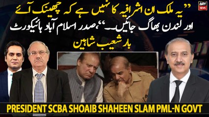 President SCBA Shoaib Shaheen slams PML-N government