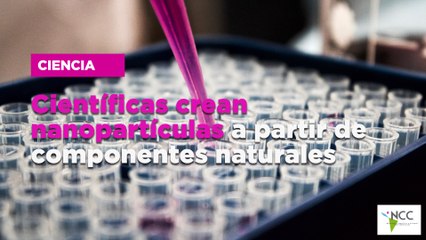 Científicas crean nanopartículas a partir de componentes naturales