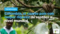 Colombia, el cuarto país con mayor riqueza de reptiles a nivel mundial