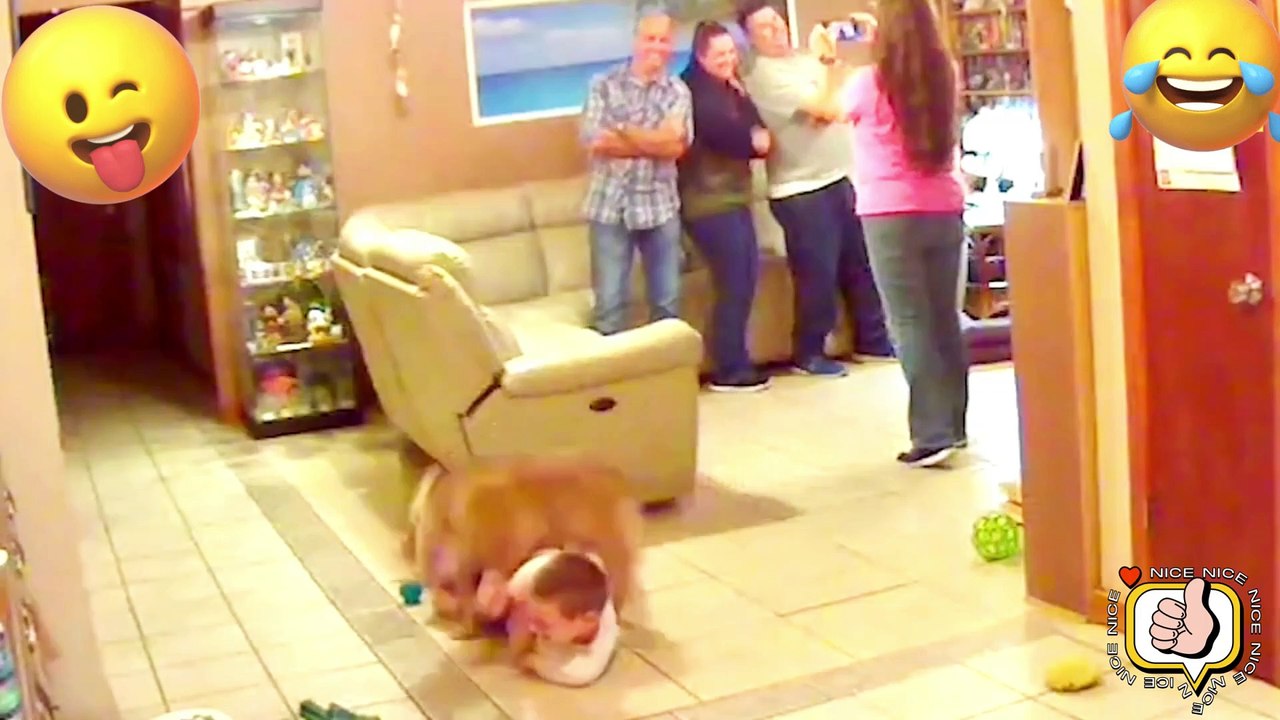 TRY NO NOT LAUGH. FUNNY PRANK FAILS LAUGH VİDEOS #7