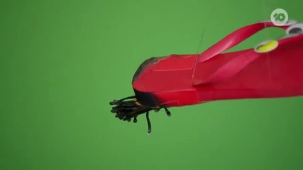 Taskmaster Au S01E03