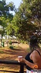 Lion Tries Entering Restaurant Full of Tourists!