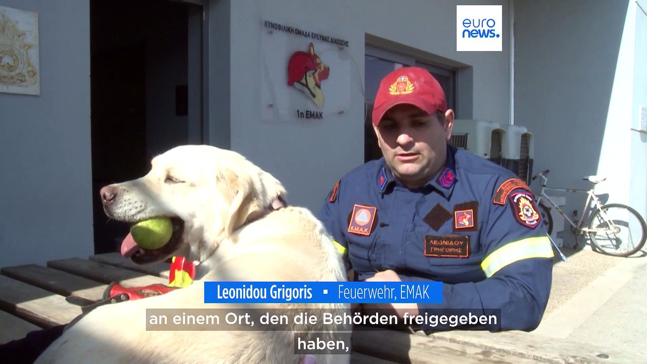 Gefährlicher Job: Rettungshunde zurück vom Einsatz in der Türkei