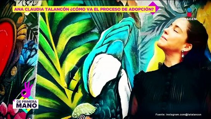 'Es una buena opción' Ana Claudia Talancón sobre la posibilidad de adoprtar un hijo