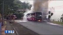 tn7-autobus-ciudad-quesada-160223