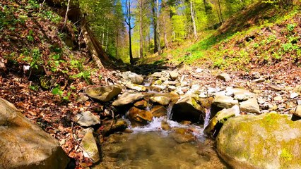 Relaxing Waterflow for Stressrelief.