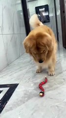 Get your smart sensing..