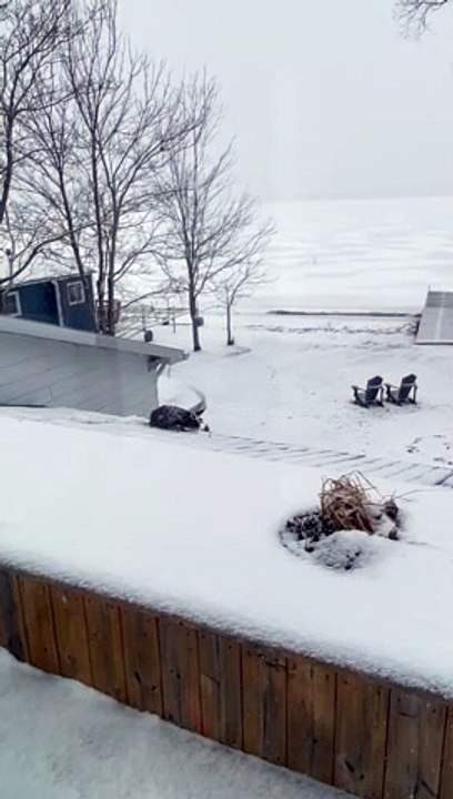 Beaver Trying to Navigating Slick Roof Falls